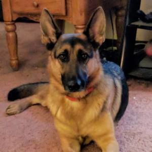 Meet your Posher, Janey